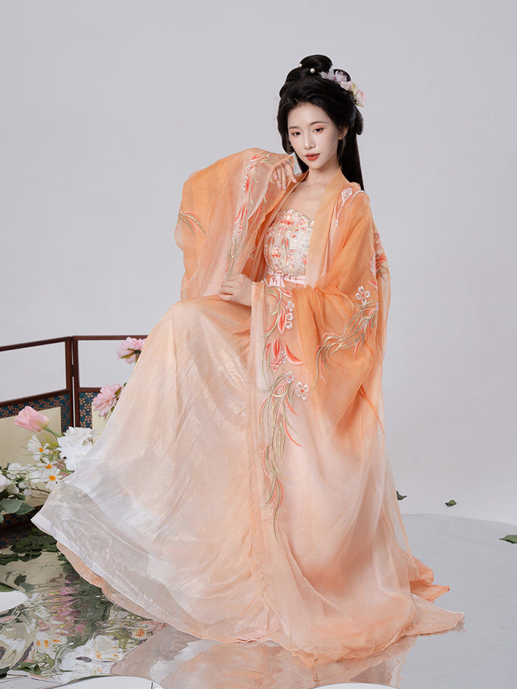 Starry Night River 如梦星河 - Tang Dynasty Style Modern Hanfu Dress Heziqun