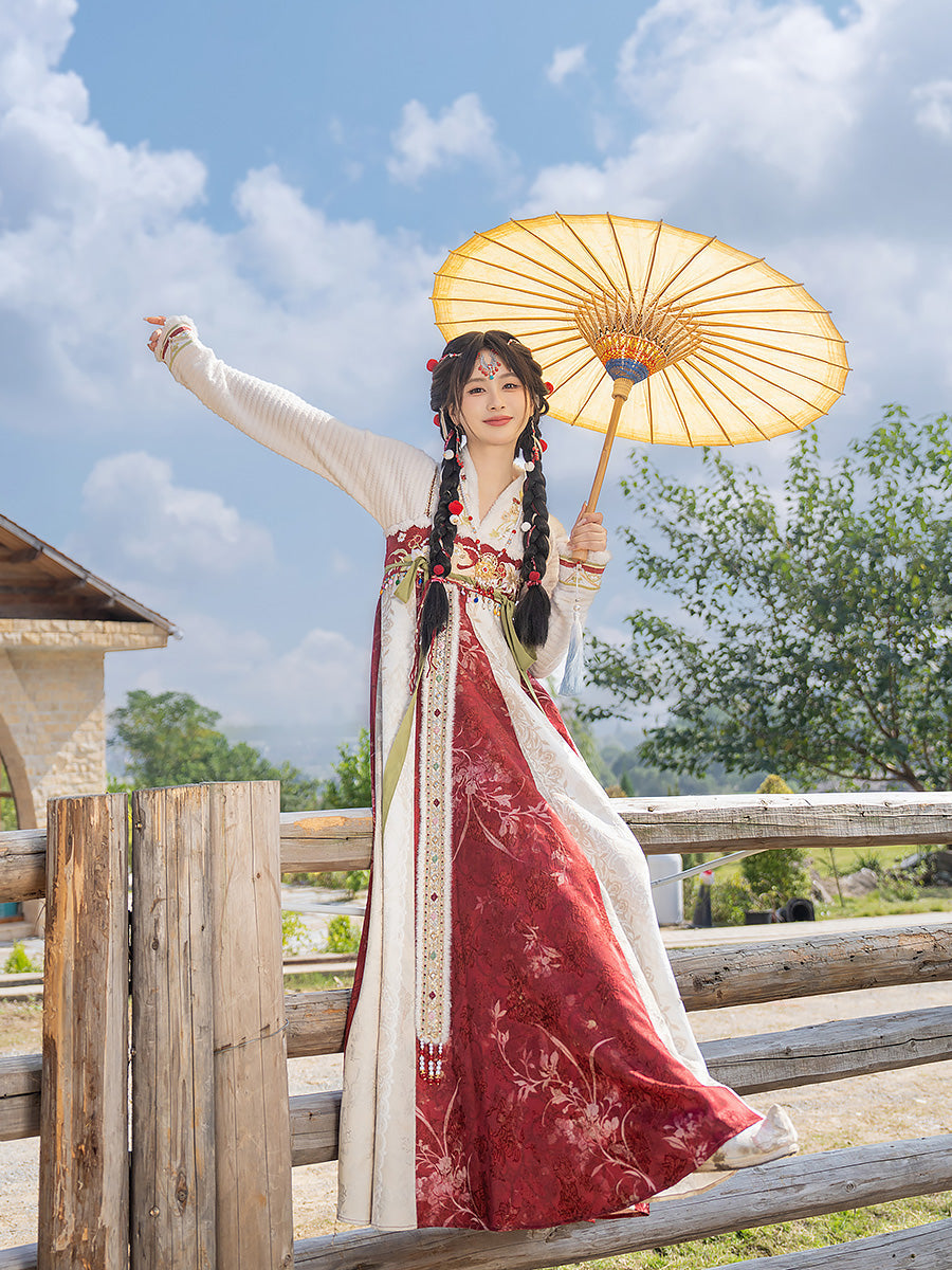 Happy Dream 盛乐长梦 - Tang Dynasty Style Qixiong Ruqun for Spring and Winter