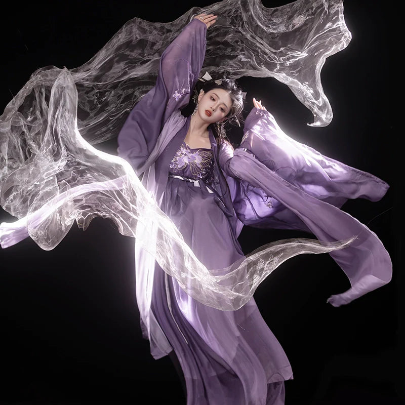 Iris Butterfly 鸢尾蝴蝶 - Tang Dynasty Style Hanfu Dress Heziqun