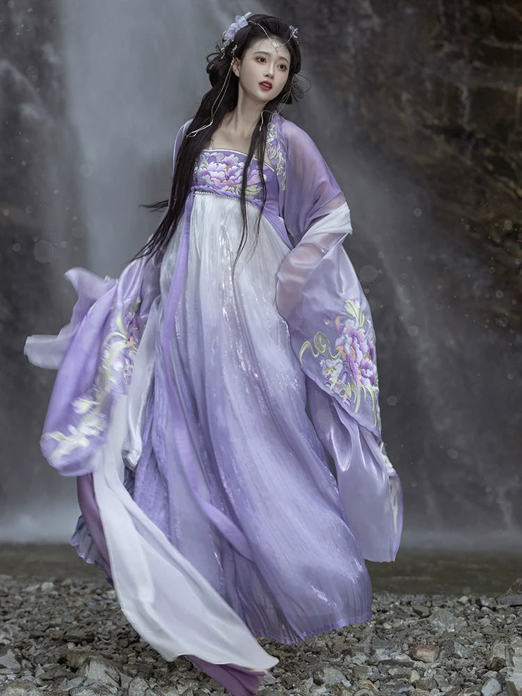 Begonia Rain 海棠未雨 - Tang Dynasty Style Hanfu Dress Heziqun
