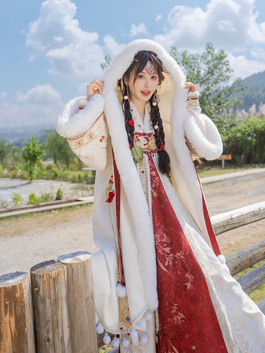 Happy Dream 盛乐长梦 - Tang Dynasty Style Qixiong Ruqun for Spring and Winter