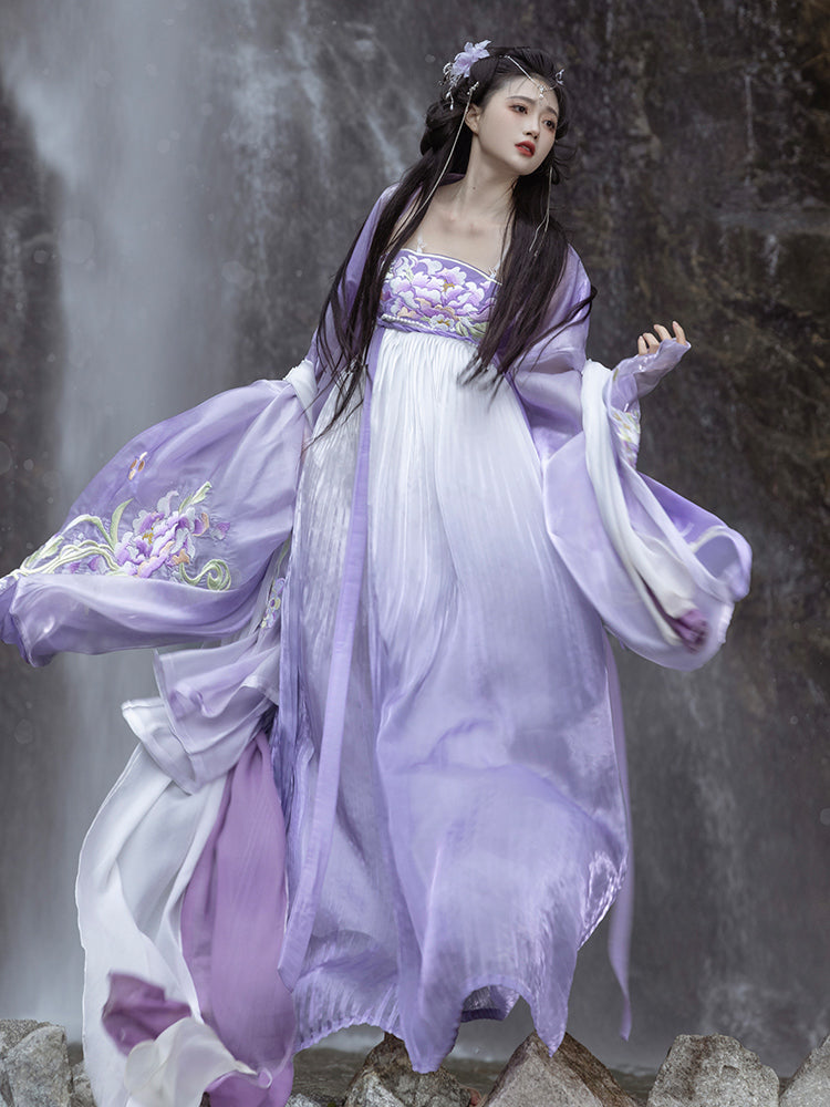 Begonia Rain 海棠未雨 - Tang Dynasty Style Hanfu Dress Heziqun
