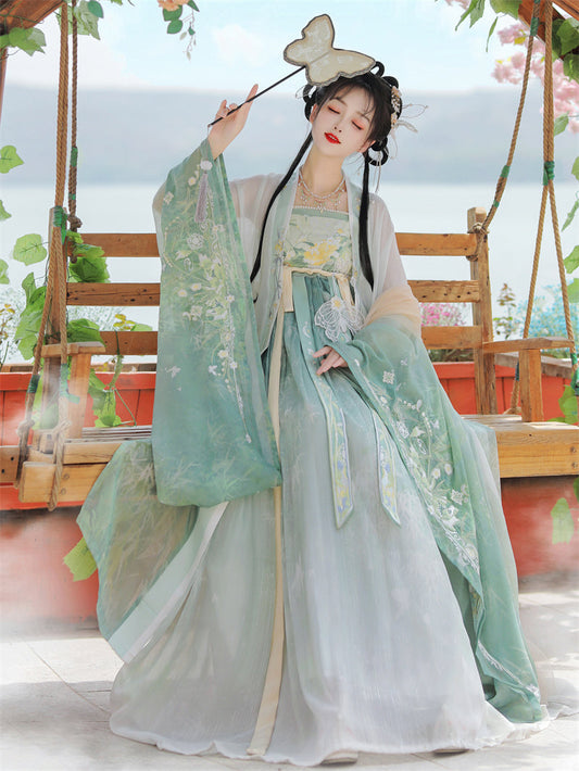 Xiaoxiang  潇湘 - Tang Dynasty Style Hanfu Dress Heziqun