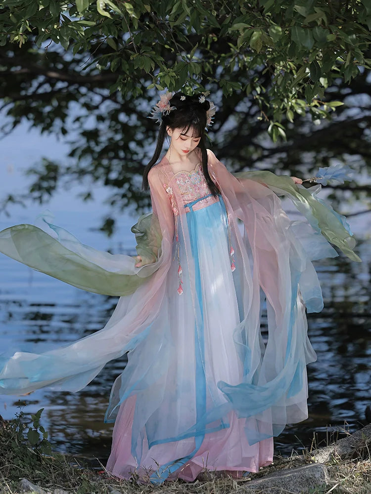 Spring Flowers 春花 - Tang Dynasty Style Hanfu Dress Heziqun