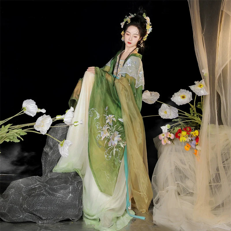 Linjiangshan 临江山 - Tang Dynasty Style Hanfu Dress Heziqun