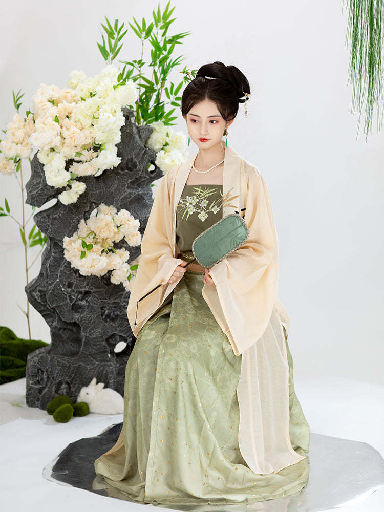 Spring Snow 春外雪 - Song Dynasty Style Qiyao Ruqun Hanfu