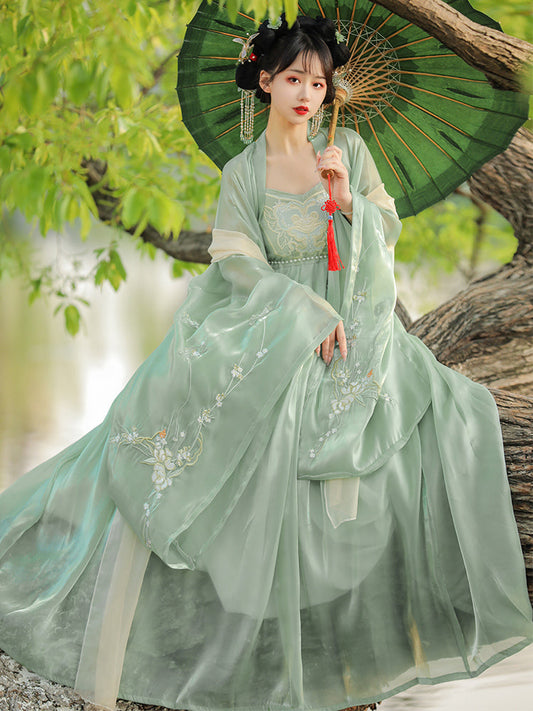 Ode to the Twilight 暮鸢颂 - Tang Dynasty Style Hanfu Dress Heziqun