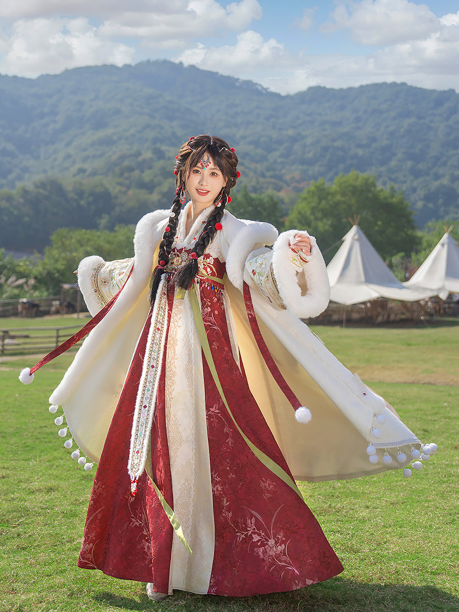 Happy Dream 盛乐长梦 - Tang Dynasty Style Qixiong Ruqun for Spring and Winter