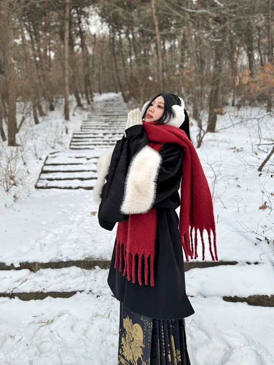 Lady Li - Ming Dynasty Hanfu Coat for Autumn and Winter