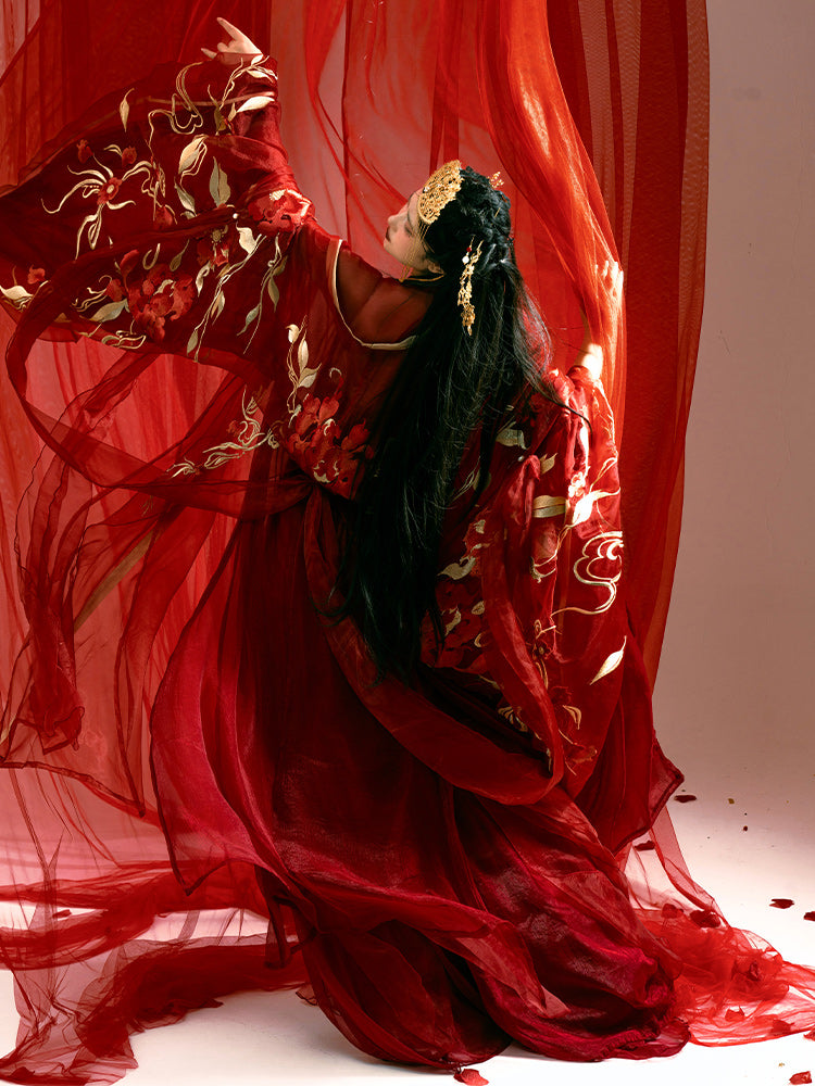 Lost You Forever 长相思 - Tang Dynasty Style Hanfu Dress Heziqun
