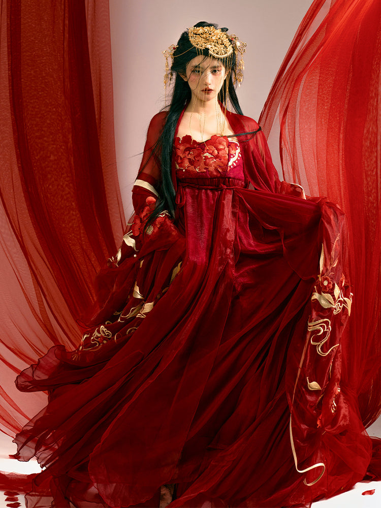 Lost You Forever 长相思 - Tang Dynasty Style Hanfu Dress Heziqun