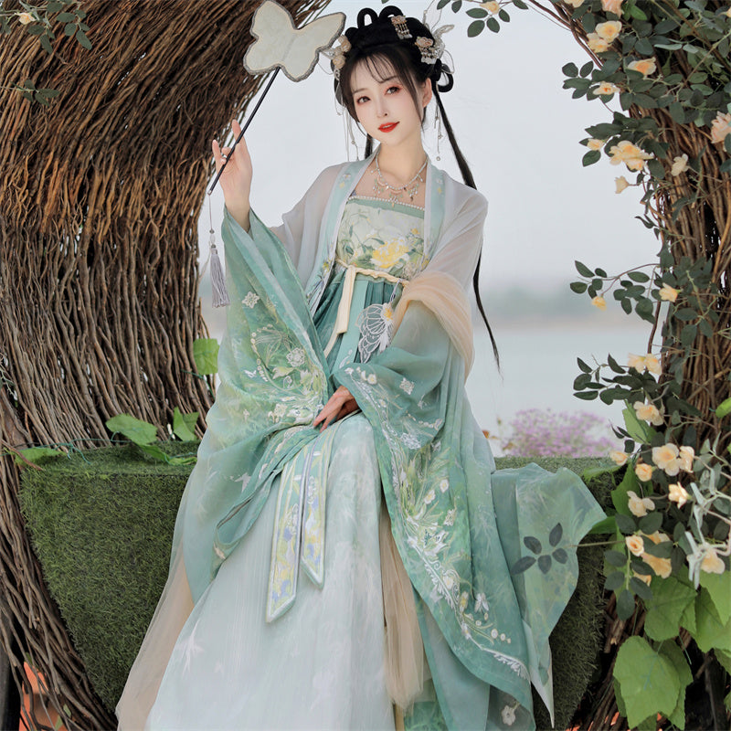 Xiaoxiang  潇湘 - Tang Dynasty Style Hanfu Dress Heziqun