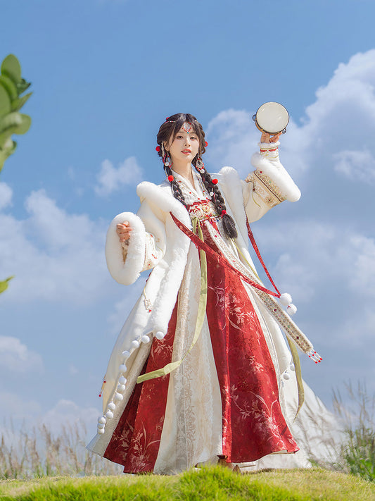 Happy Dream 盛乐长梦 - Tang Dynasty Style Qixiong Ruqun for Spring and Winter