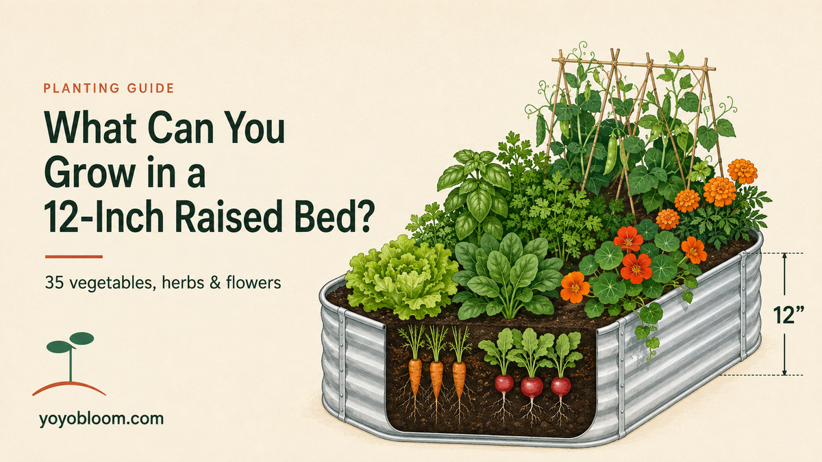 What Can You Grow in a 12-Inch Raised Garden Bed? 35 Plants That Fit