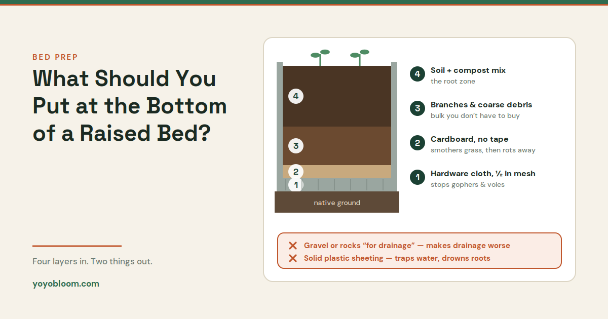 What Should You Put at the Bottom of a Raised Garden Bed?