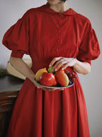 Amelia's Retro Elegance Dress