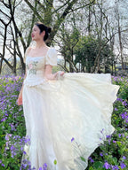 High-Waisted Fairy Chiffon Maxi Skirt