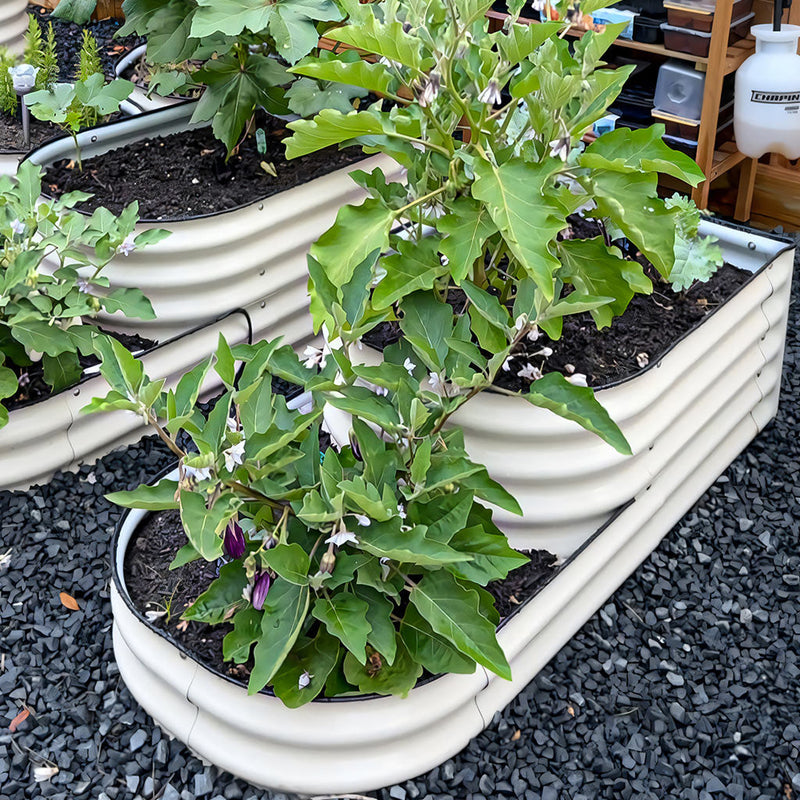 YoYoBloom 17" Tall 2 Tiered Metal Raised Garden Bed Twin Pack| Upgrade 2.0 Knee-High Design