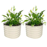 YoYoBloom 17" Tall 24" Round Metal Raised Garden Bed Twin Pack | Upgrade 2.0 Knee-High Design image 17