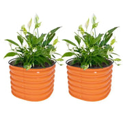 YoYoBloom 17" Tall 24" Round Metal Raised Garden Bed Twin Pack | Upgrade 2.0 Knee-High Design image 20