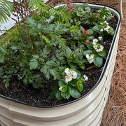 YoYoBloom 17" Tall 3.5' x 2' Metal Raised Garden Bed (2-in-1) | Upgrade 2.0 Knee-High Design image 4