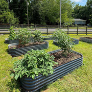 YoYoBloom 17" Tall 8' x 4' Metal Raised Garden Bed (10-in-1) | Upgrade 2.0 Knee-High Design image 19