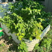 YoYoBloom 17" Tall 8' x 4' Metal Raised Garden Bed (10-in-1) | Upgrade 2.0 Knee-High Design image 13