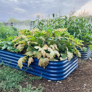 YoYoBloom 17" Tall 8' x 4' Metal Raised Garden Bed (10-in-1) | Upgrade 2.0 Knee-High Design image 24