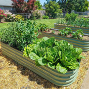 YoYoBloom 17" Tall 6.5' x 2' Metal Raised Garden Bed (6-in-1) | Upgrade 2.0 Knee-High Design - Vibrant orange image 3