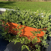 YoYoBloom 17" Tall 6.5' x 2' Metal Raised Garden Bed (6-in-1) | Upgrade 2.0 Knee-High Design image 21