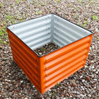 Vibrant orange