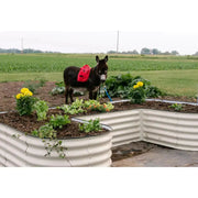 YoYoBloom 17" Tall U-Shape Standard Size Metal Raised Garden Bed| Upgrade 2.0 Knee-High Design image 11
