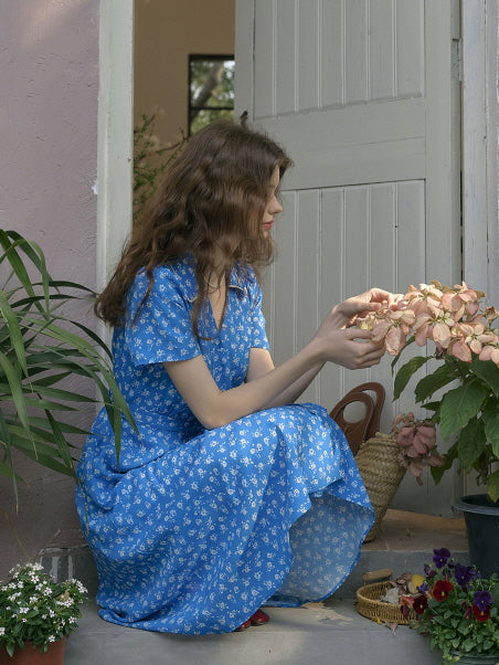 Blue Garden Stroll Dress