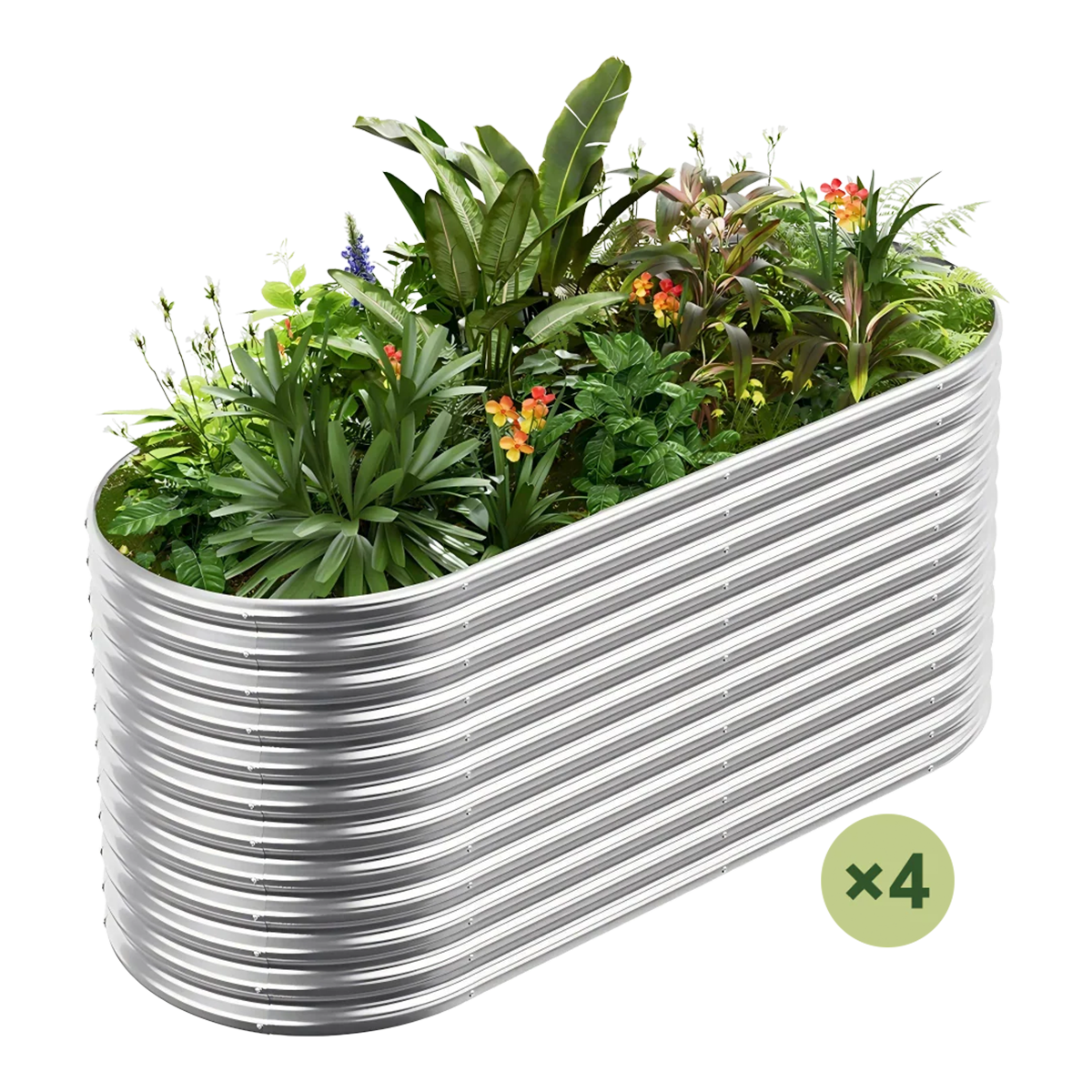 set of 4 — 36-inch tall oval galvanized metal raised garden bed, 6 by 3 feet