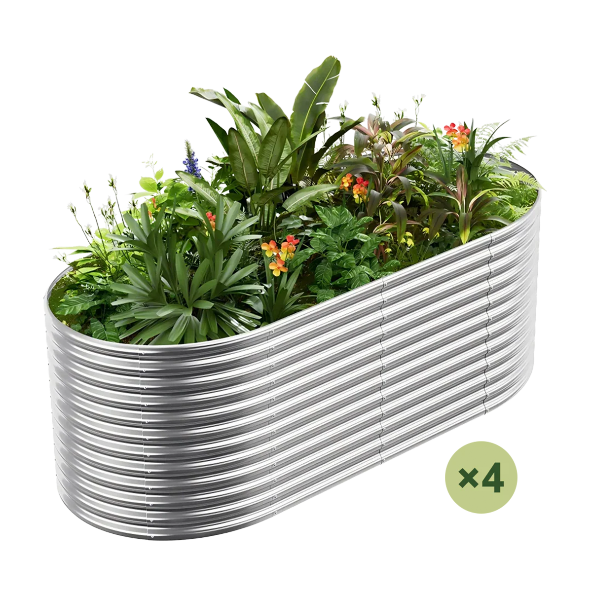 set of 4 — 36-inch tall oval galvanized metal raised garden bed, 8 by 4 feet