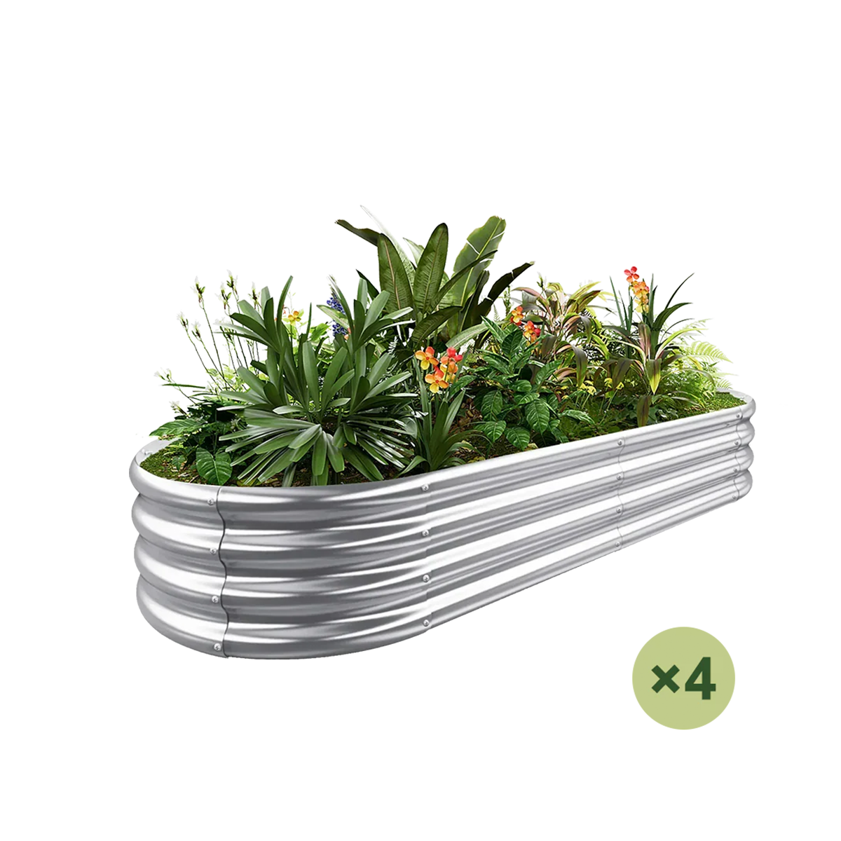 set of 4 — 12-inch tall oval galvanized metal raised garden bed, 6 by 3 feet