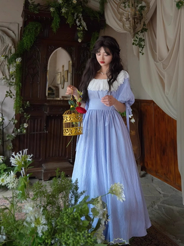 Dreamy Vintage Balloon Sleeve Dress