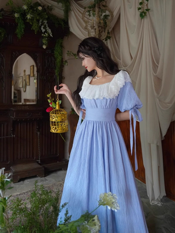 Dreamy Vintage Balloon Sleeve Dress