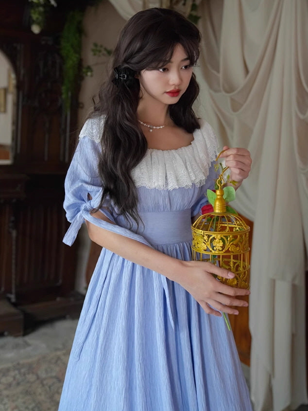 Dreamy Vintage Balloon Sleeve Dress