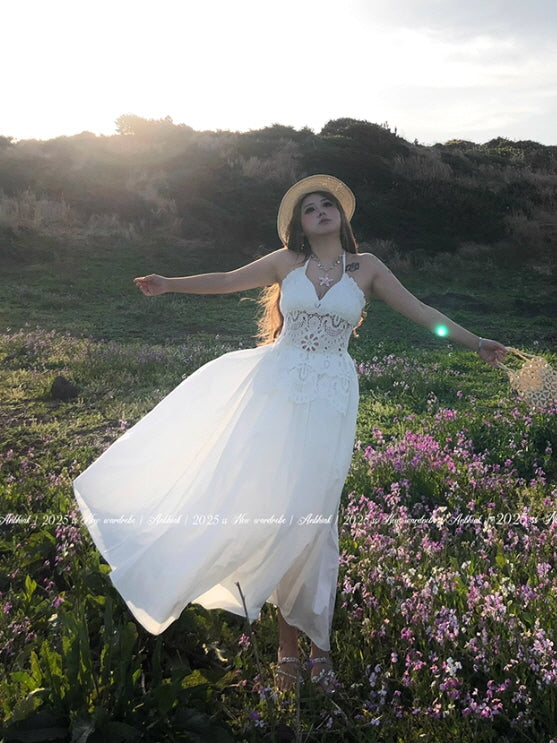 Sunlit Meadow Eyelet Lace Dress