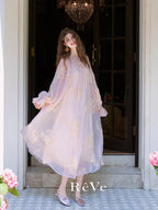 Blush Petal Embroidered Chiffon Dress