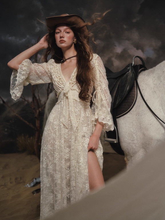 Moonlit Meadow Lace Long Dress