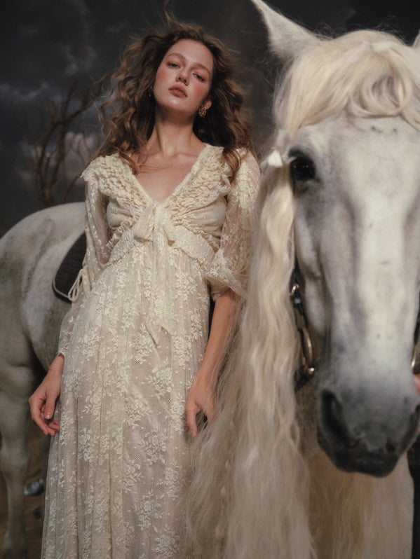 Moonlit Meadow Lace Long Dress