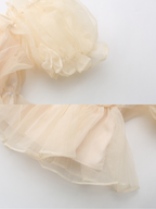 Whipped Cream Ruffle Sheer Top