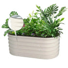 Oyster white