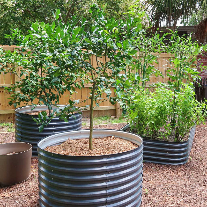 YoYoBloom 32" Tall 42" Round Metal Raised Garden Bed | Upgrade 2.0 Waist-High Design