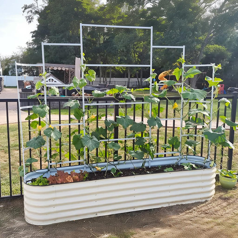 YoYoBloom Zn-Al-Mg Steel Wall Trellis for Raised Garden Beds