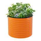 Vibrant orange