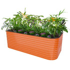 Vibrant Orange