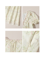 Enchanted Garden Vintage Lace Dress